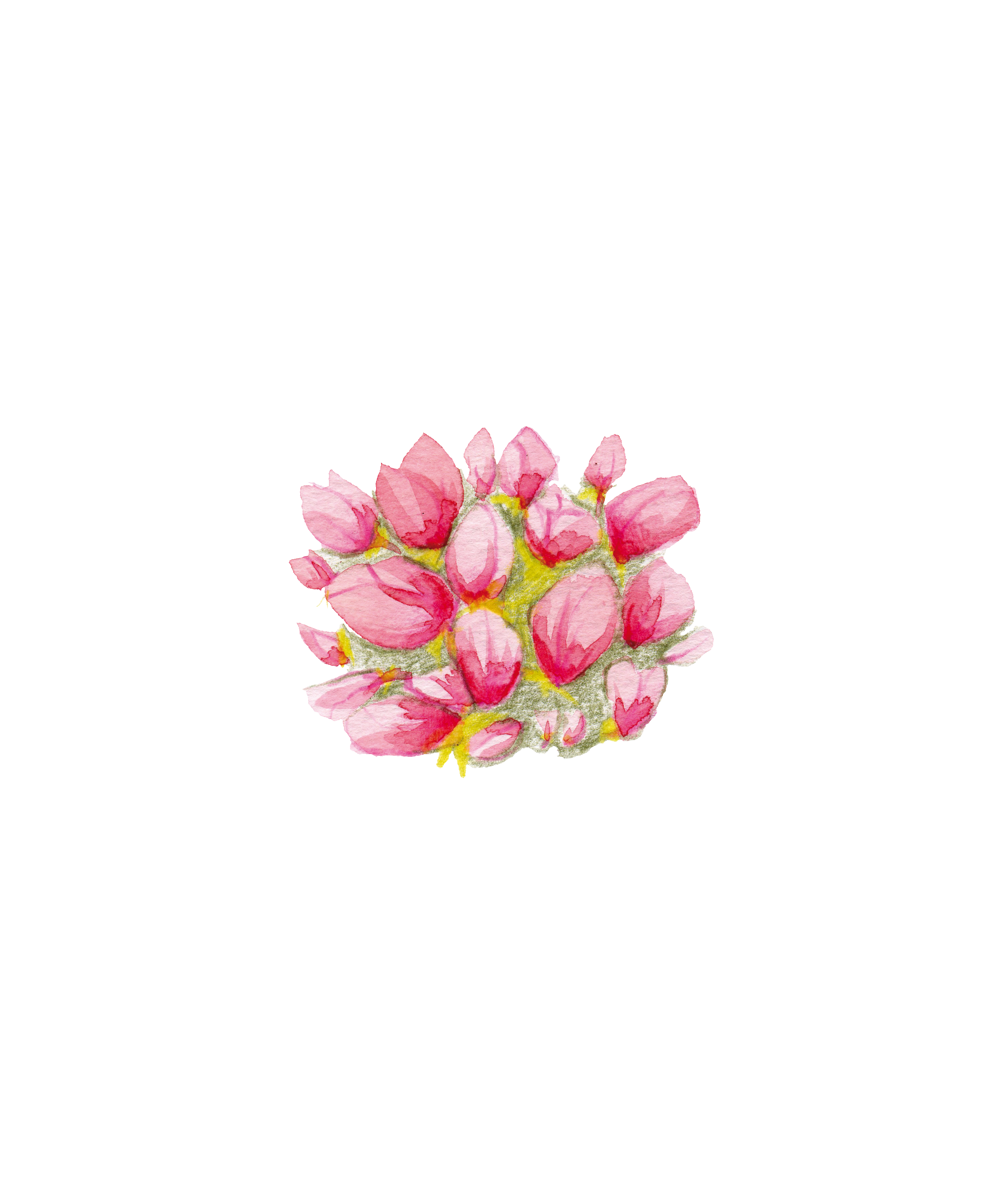 Floral Workshop Creation